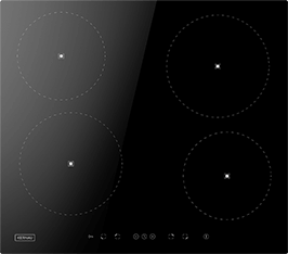 Induktionsfeld Reparatur Zeitz